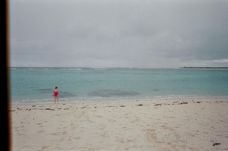 Loblolly Bay Beach Anegada 09.jpg